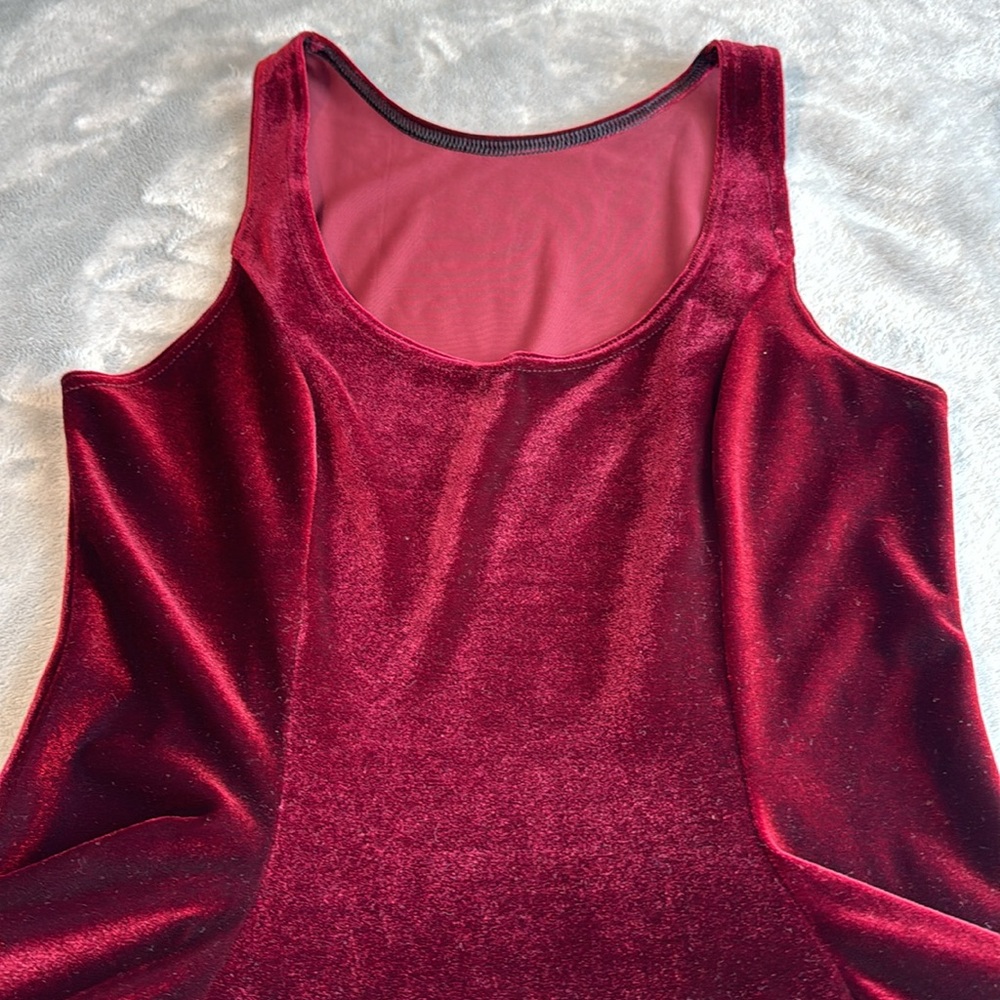 NWOT Blackmilk Velvet Mulled Wine Evil Skater Dress Size Medium-Large - Picture 6 of 15